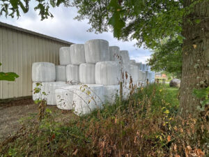 A Primer about Hay